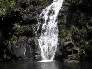 Hawaii - August
                                  2007