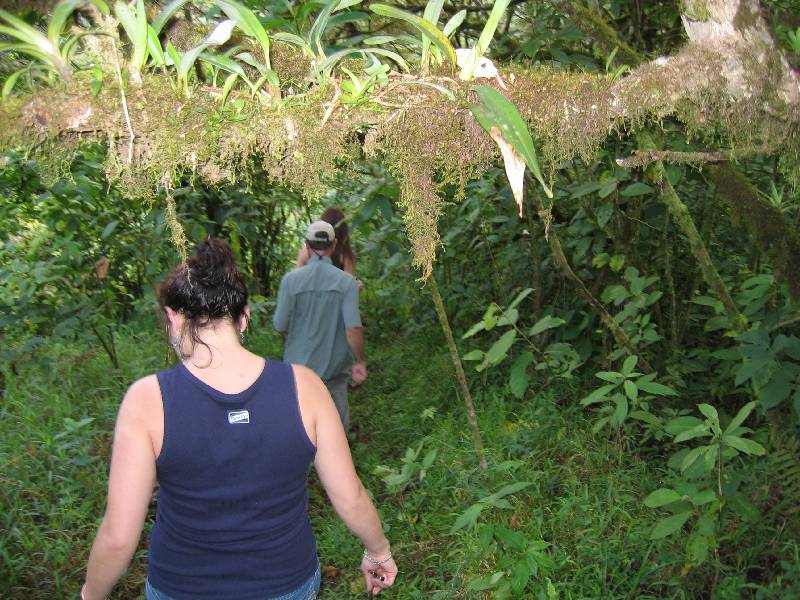 CostaRica-June-11-18-2005-0060 cruising through the jungle on the way to breakfast