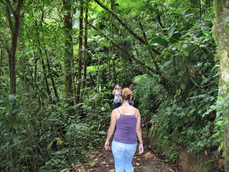 CostaRica-June-11-18-2005-0065 the rainforest tour