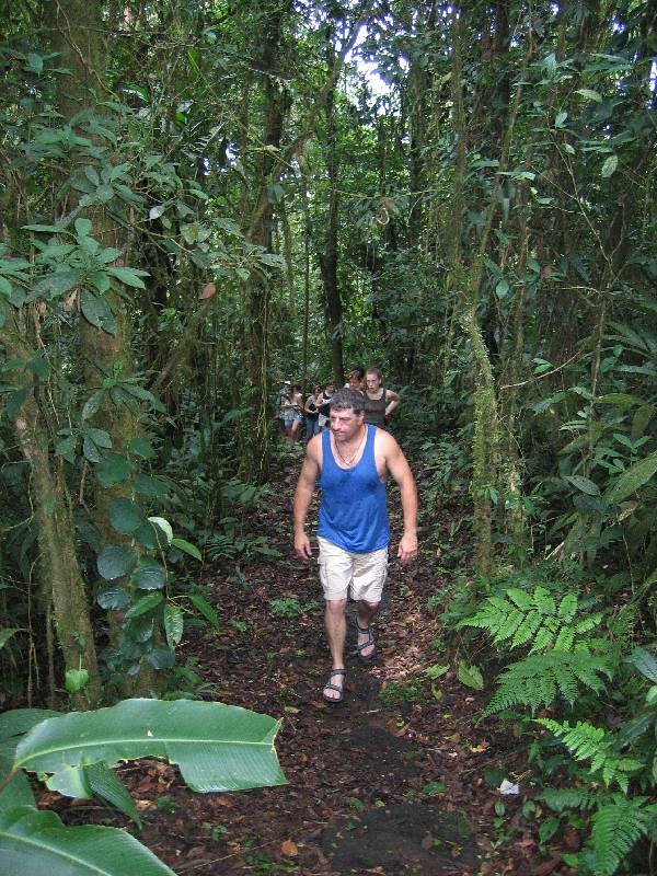 CostaRica-June-11-18-2005-0079 the rainforest walk