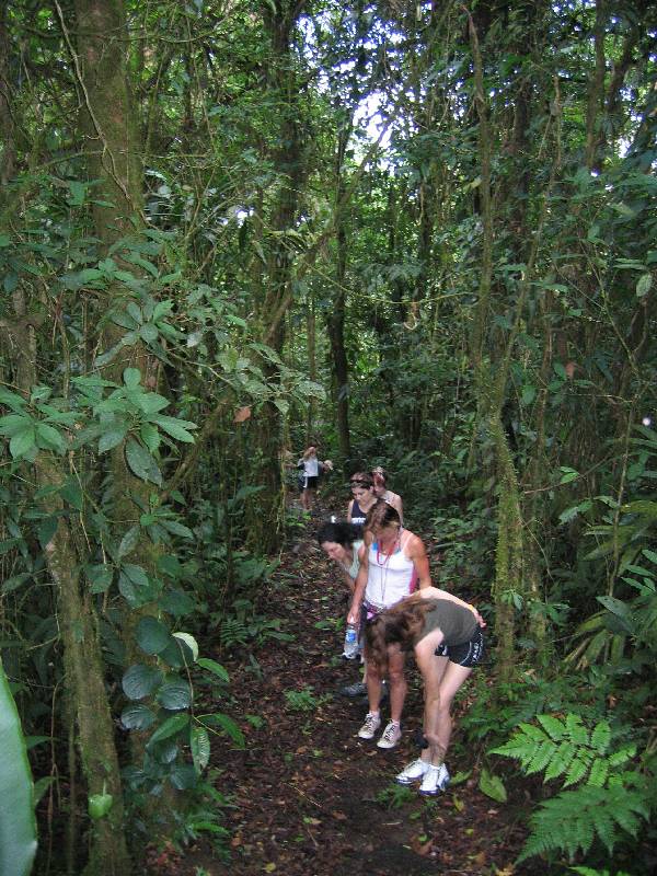 CostaRica-June-11-18-2005-0080 the rainforest walk