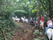 CostaRica-June-11-18-2005-0188 horseback riding