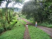 CostaRica-June-11-18-2005-0418