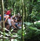 IMG_0133 looking at bugs in the rainforest