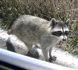 Fort Ross
                                October 2002